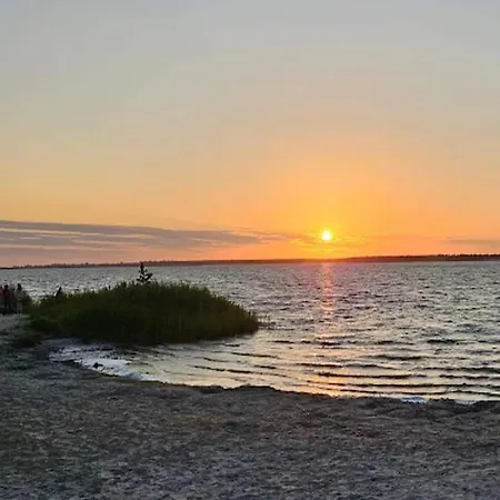 Feriehus Reetdachhaus Am Bodden Mit Sauna Fuhlendorf (Mecklenburg-Vorpommern)