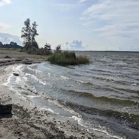 Feriehus Reetdachhaus Am Bodden Mit Sauna *