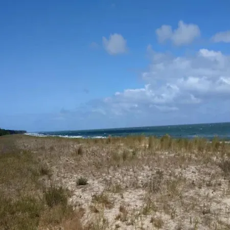 Reetdachhaus Am Bodden Mit Sauna Feriehus