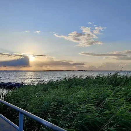 Feriehus Reetdachhaus Am Bodden Mit Sauna *