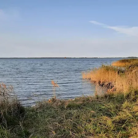 Reetdachhaus Am Bodden Mit Sauna