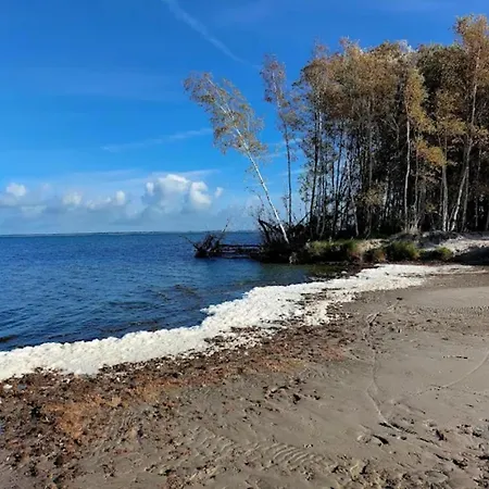 Reetdachhaus Am Bodden Mit Sauna Feriehus