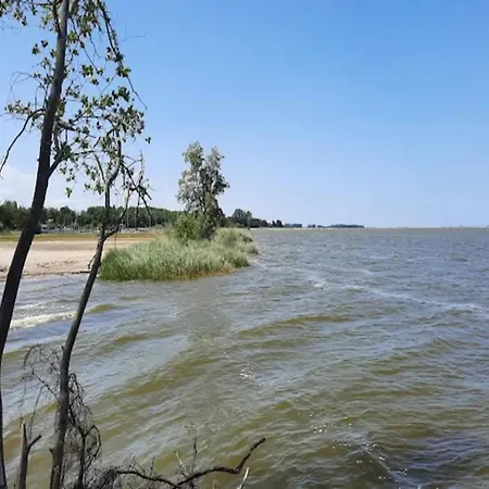 Feriehus Reetdachhaus Am Bodden Mit Sauna