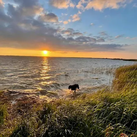 Reetdachhaus Am Bodden Mit Sauna Feriehus *