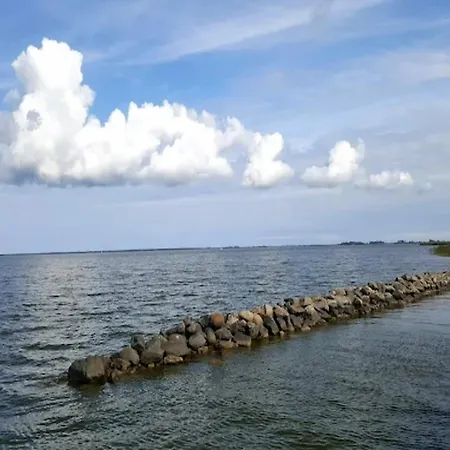 Feriehus Reetdachhaus Am Bodden Mit Sauna *