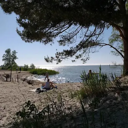 Reetdachhaus Am Bodden Mit Sauna Ferienhaus Fuhlendorf (Mecklenburg-Vorpommern)